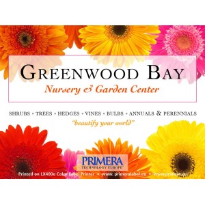 Imkerei Set - Inkjet Etikettendrucker LX500eC mit passenden Etiketten und einer Patrone  für farbige Etiketten, mit 30 Minuten Online Schulung, 3 Jahre Garantie*